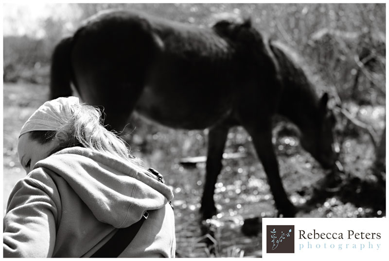 wild_horses_nags_head_Adrienne_Peters.jpg 